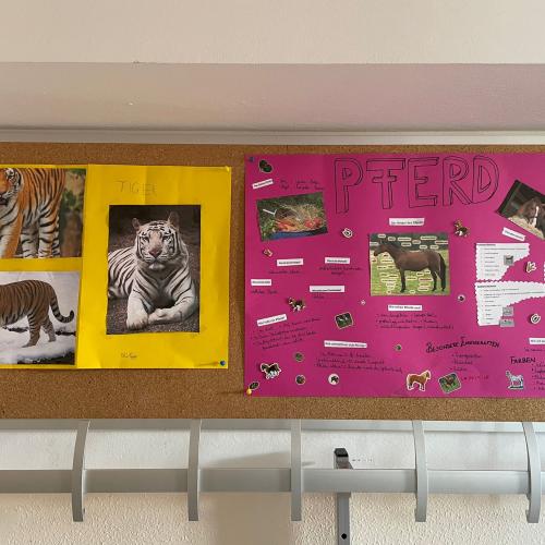 Referate Tiere 3. Klasse 3