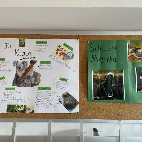 Referate Tiere 3. Klasse 5