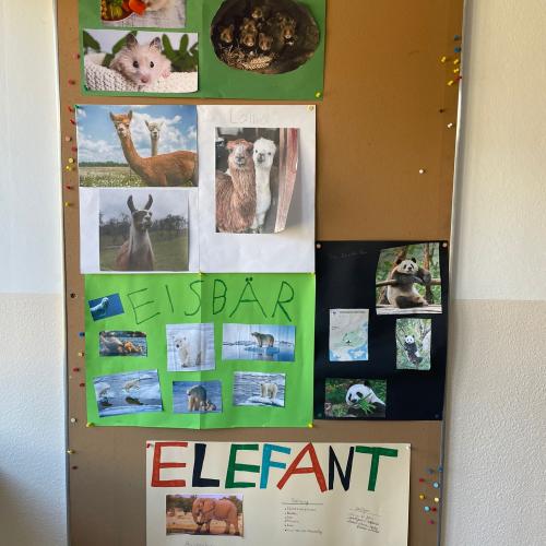 Referate Tiere 3. Klasse 4
