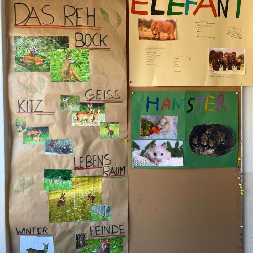 Referate Tiere 3. Klasse 6