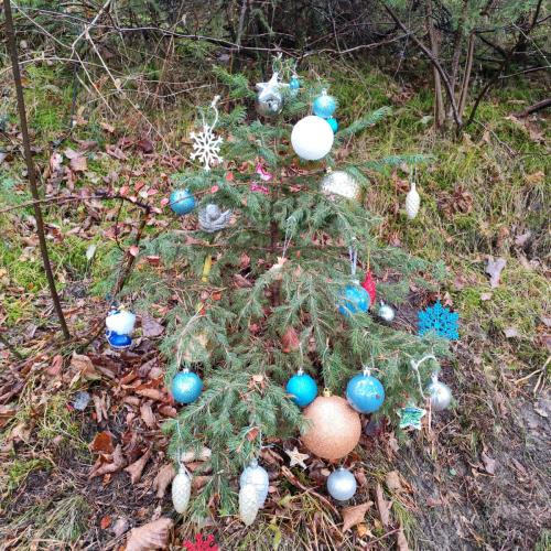 Christbaumweg