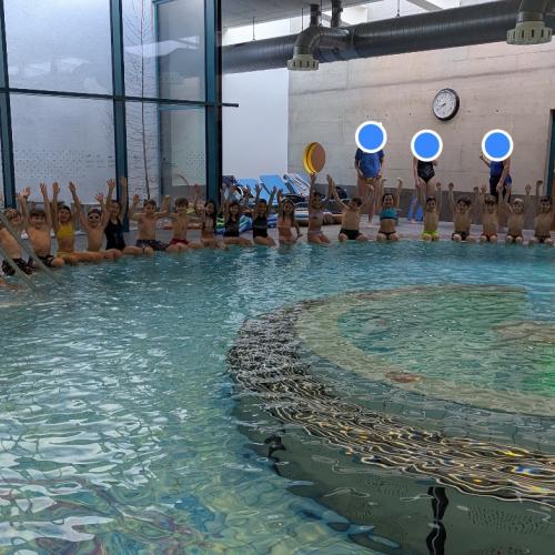 Schwimmtage der zweiten Klassen