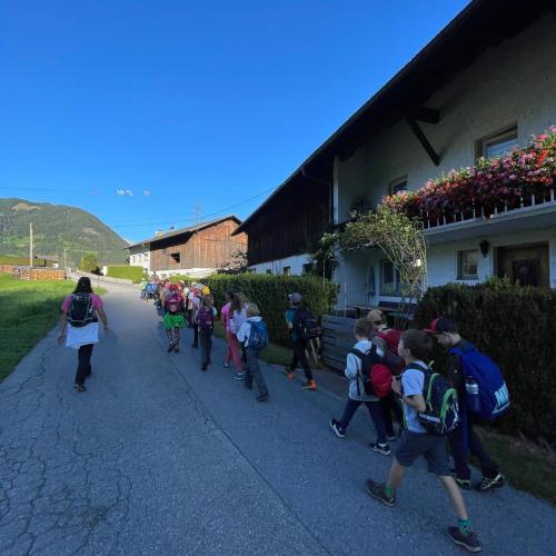 Wandertag Wald