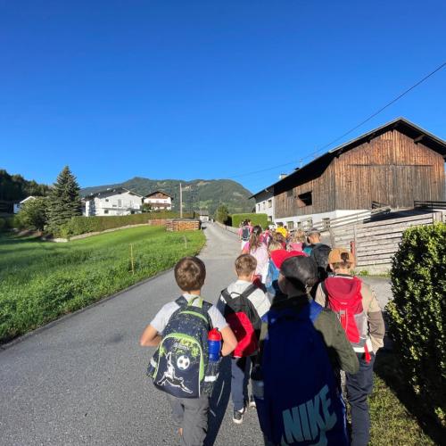 Wandertag Wald