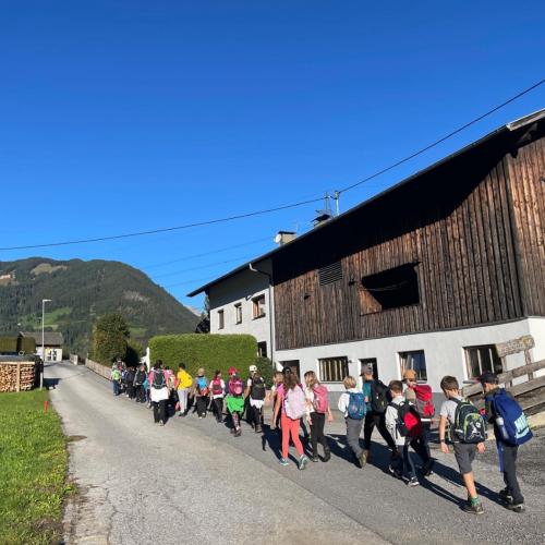 Wandertag Wald