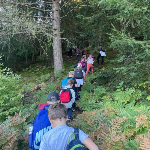 Wandertag Wald