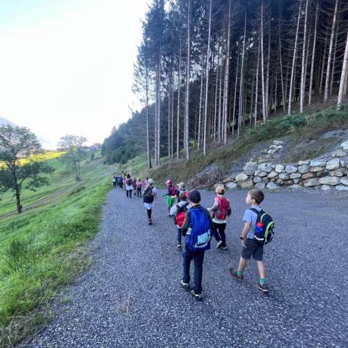 Wandertag Wald