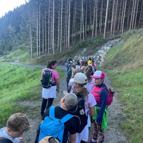 Wandertag Wald