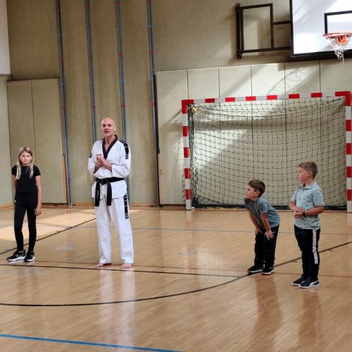 Taekwondo