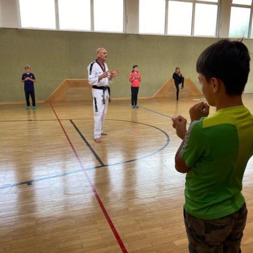 Taekwondo