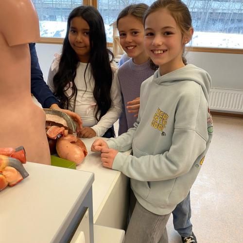 SchülerInnen im Biologieraum