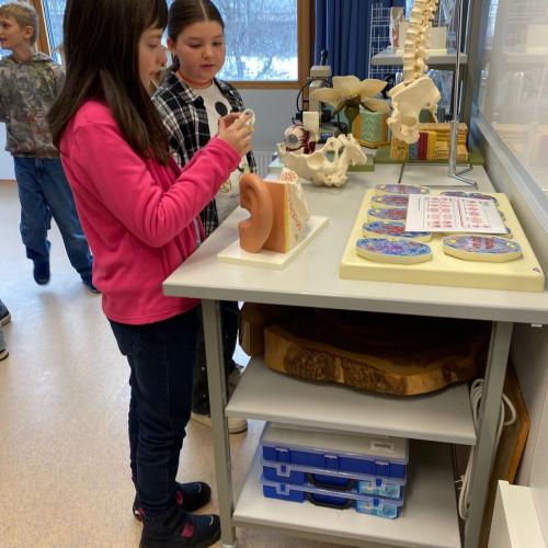 SchülerInnen im Biologieraum