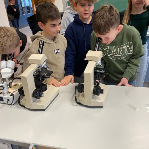 SchülerInnen im Physikraum