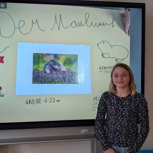 Maulwurf