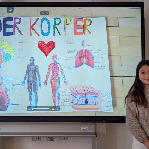 Körper