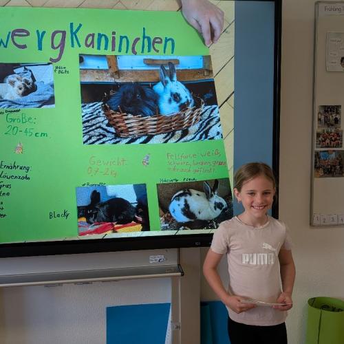 Zwergkaninchen