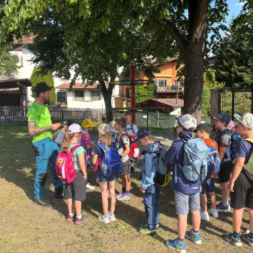 Waldtag 1b