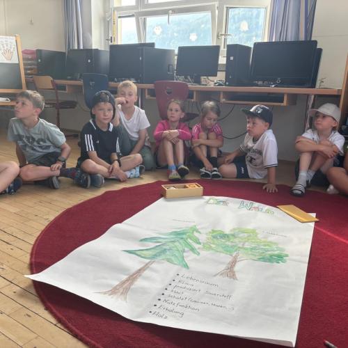 Waldtag 1b