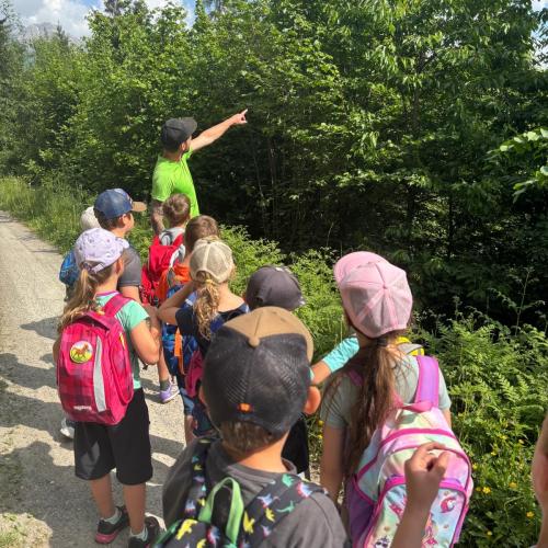 Waldtag 1b