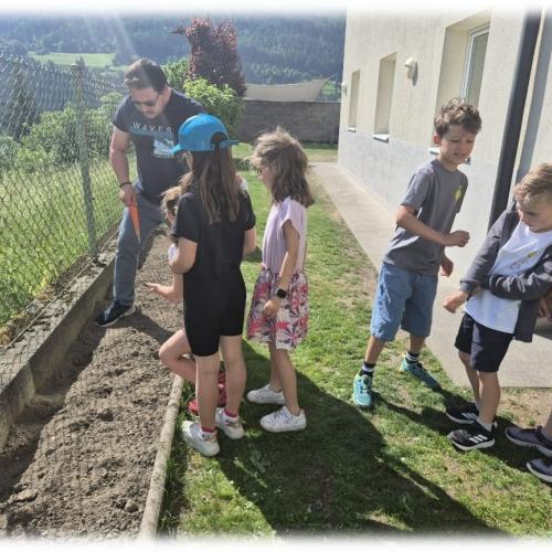 Oberländer Saatgut