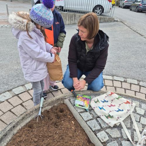 Blumen pflanzen