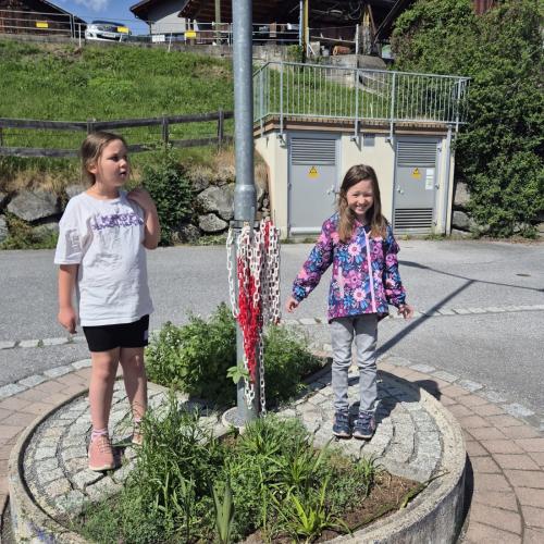Blumen pflanzen