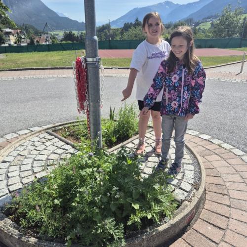 Blumen pflanzen
