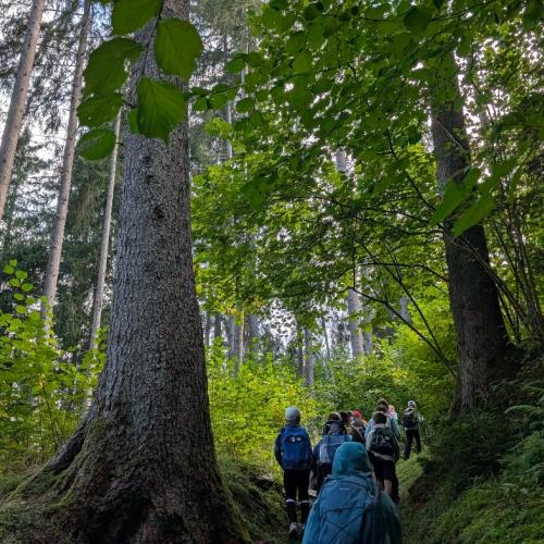 Wandertag 4. Klassen 26/27