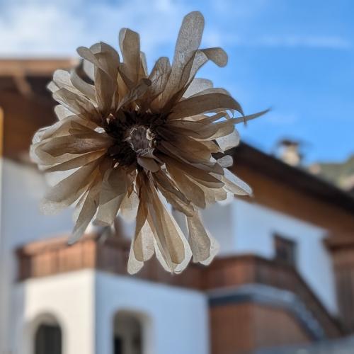 Backpapier-Blumen