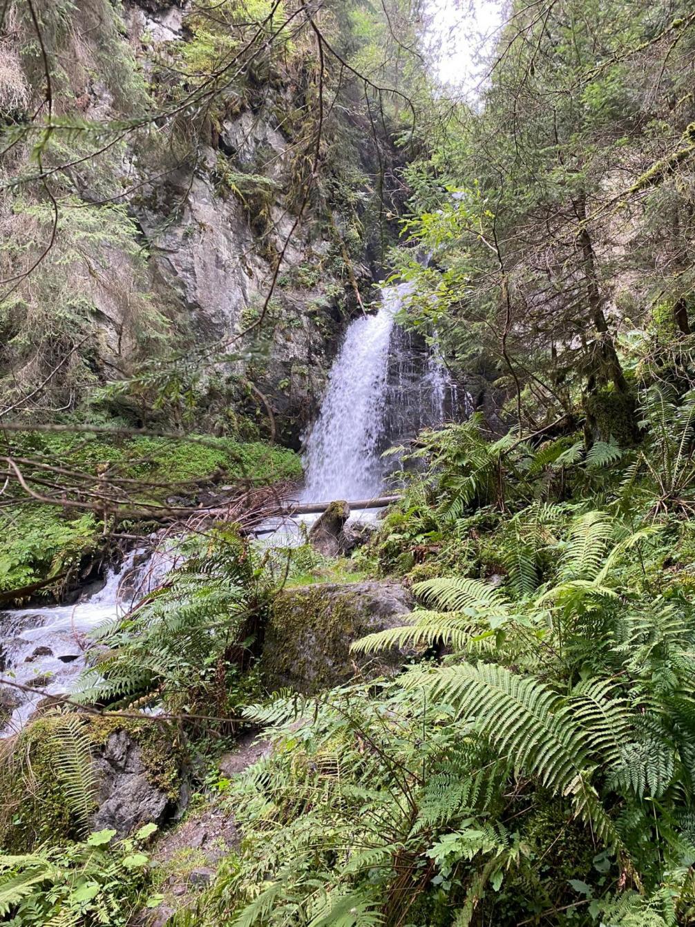 Wandertag 2. Klasse
