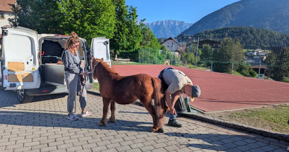 Tierischer Besuch