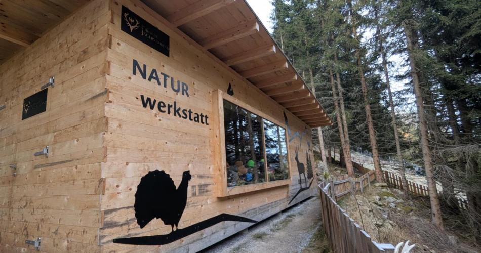 Hütte "Naturwerkstatt"